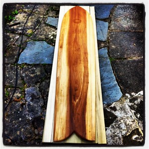 paipoglide bellyboards